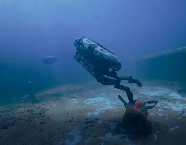 Driver and ROV